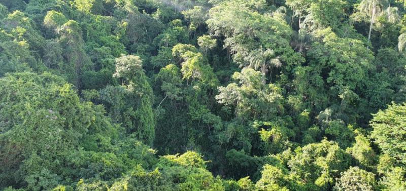 Apartamento-Copacabana-Marechal-Mascarenhas-de-Moraes